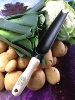 The eco-friendly ash handle of the DeWit Snake Tongue Trowel, made from FSC-certified wood, a sustainable garden tool.